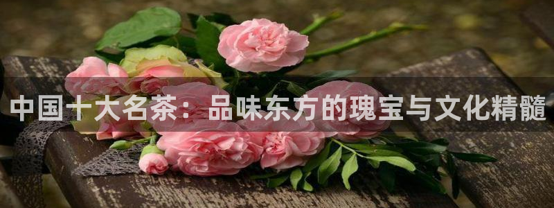 摩登口碑7