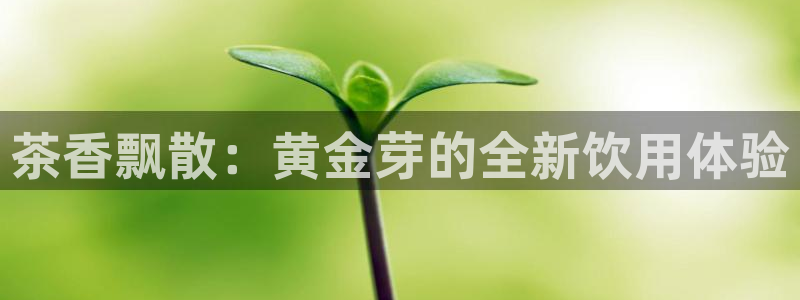 摩登7级