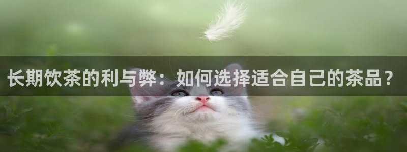 摩登7右7O667