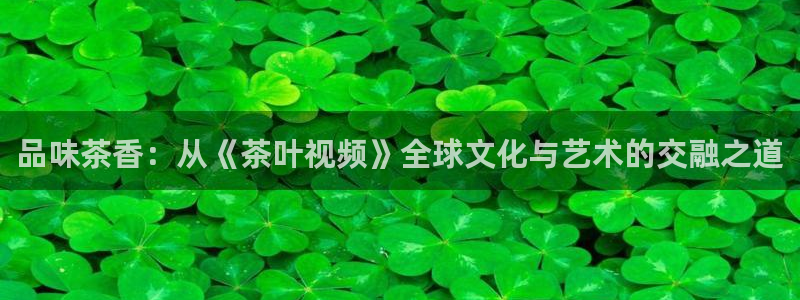 摩登7主管