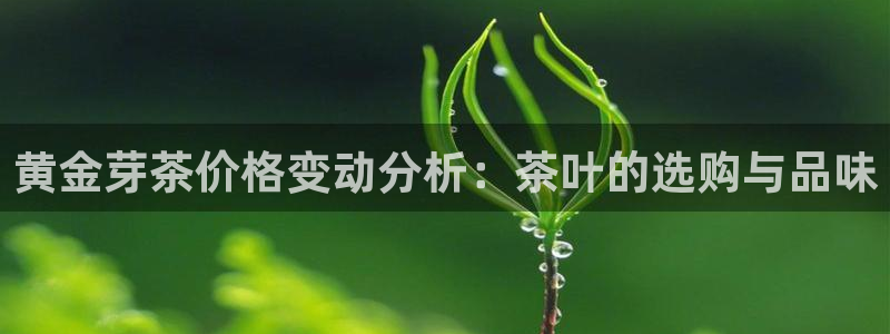摩登3来找7O667