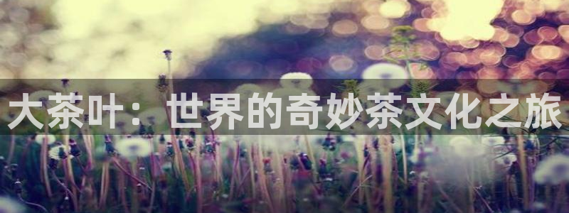 摩登3月7O667
