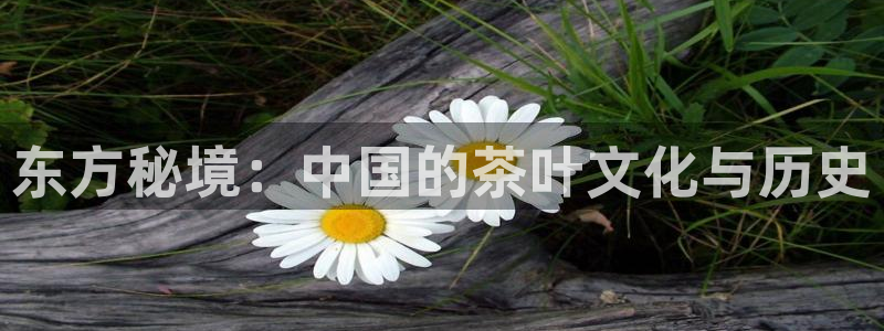 摩登7冠