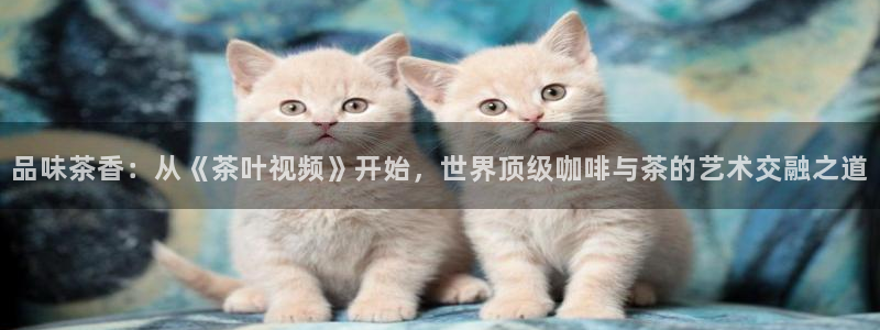 摩登4前7O667