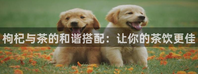 摩登3前7O667