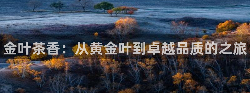精品摩登7