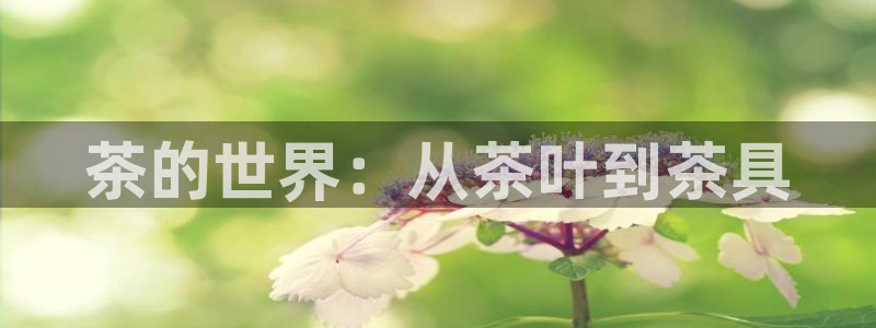 摩登5右7O667