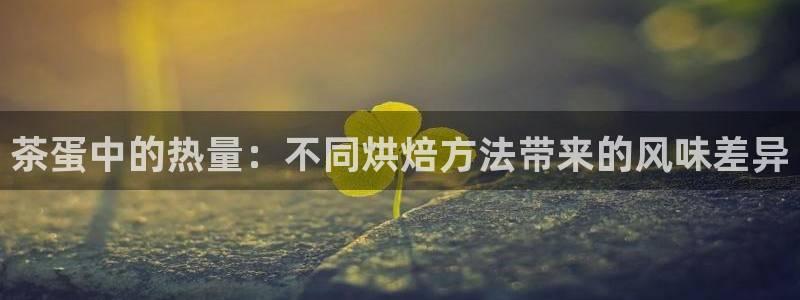 摩登7官网六柒五I38