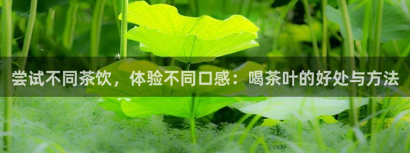摩登7官方