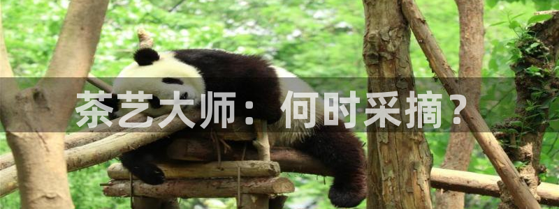 摩登6天7O667