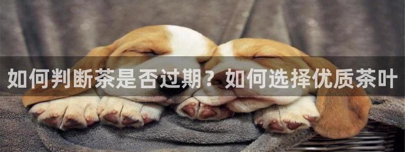 摩登7平台网址