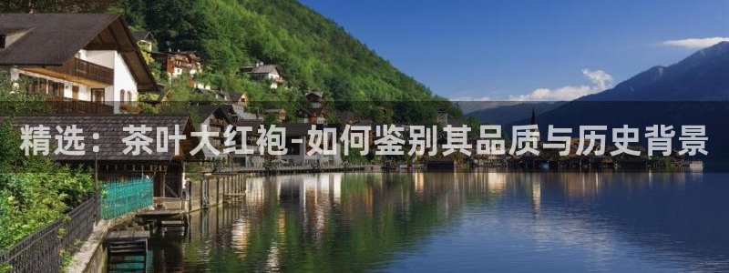 摩登7 平台