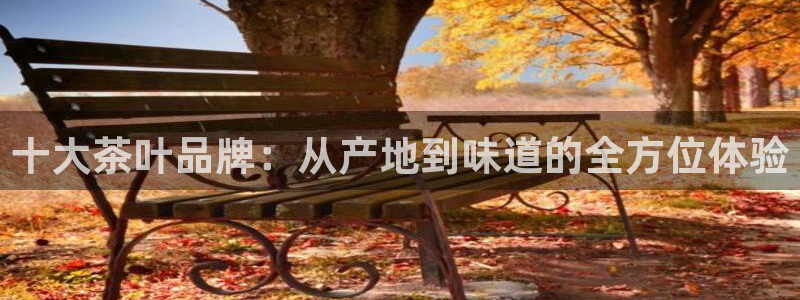摩登5月7O667