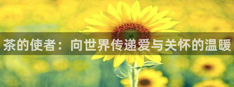 摩登3天7O667