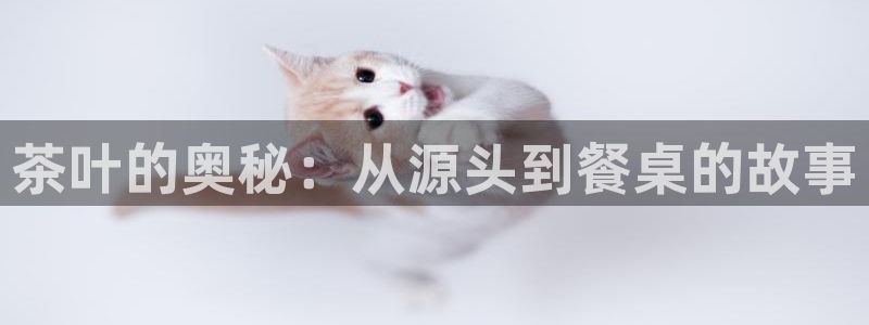 摩登7地7O667