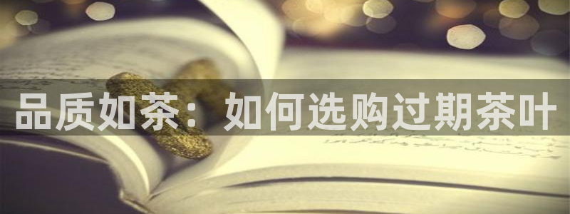 摩登7下载app