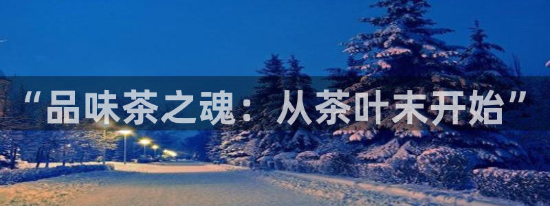 摩登7直属招商