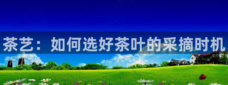 摩登7挂机