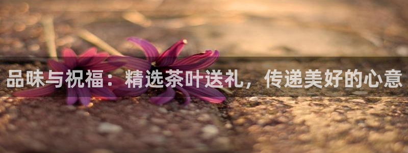 摩登7 lite