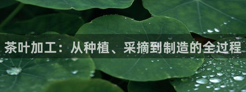 摩登7多3299O7