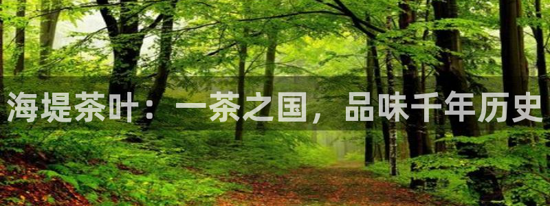 摩登7招商382223