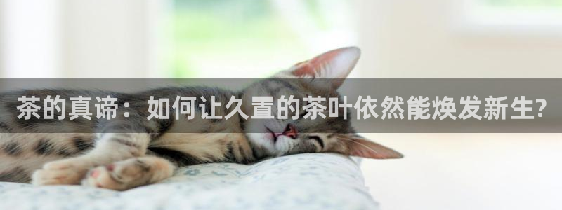 摩登5冯7O667