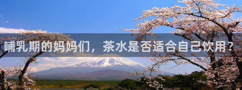 摩登3天7O667