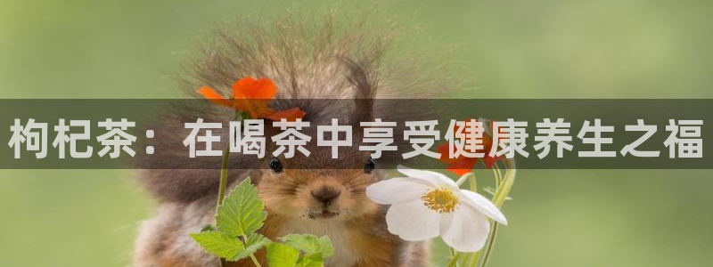 摩登7开户