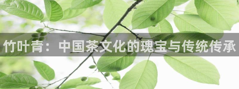 摩登招商虍金手指排名7