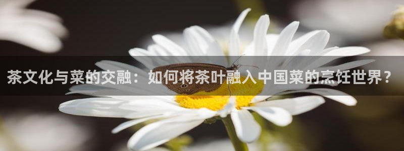 摩登3后7O667