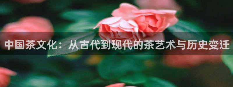 摩登7后3299O7