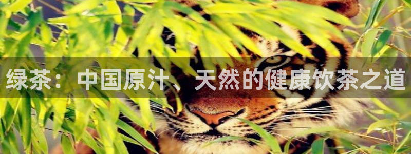 摩登7点