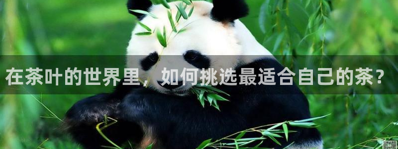摩登7登陆平台