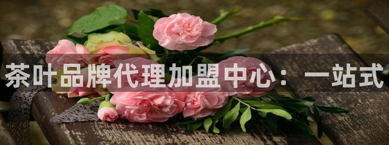 摩登7是什么