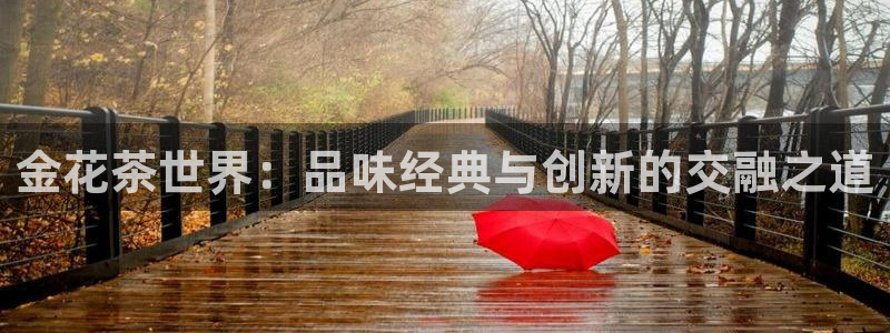 摩登7彩票平台登陆总代