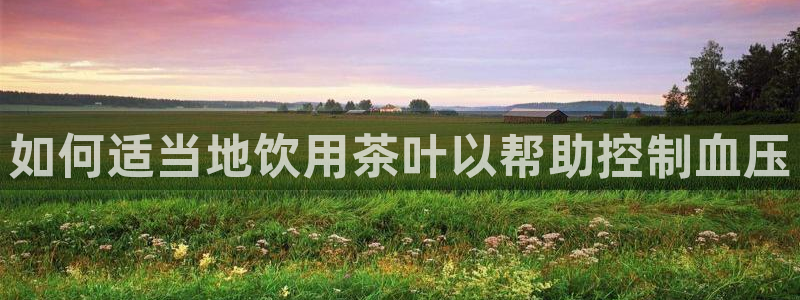 摩登4地7O667