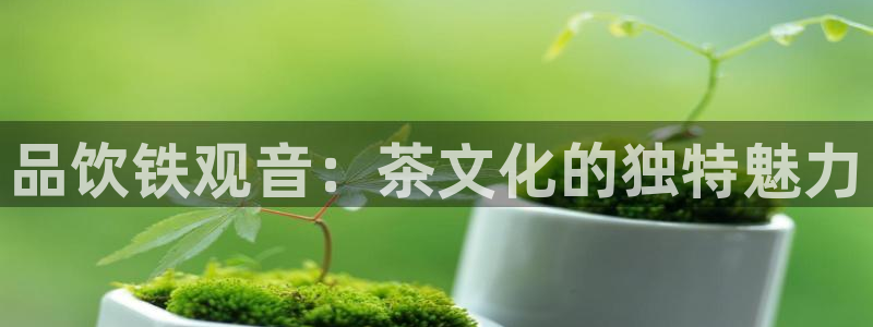 摩登5张7O667