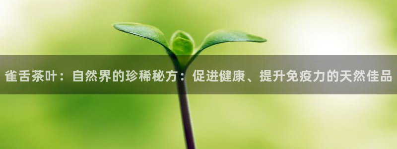 摩登7官方