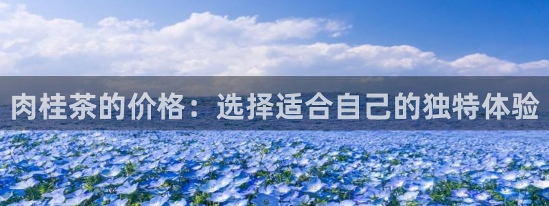 摩登7招商排名
