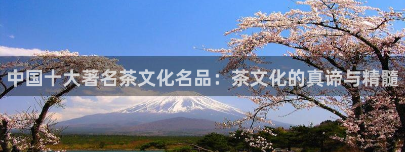 摩登7直属