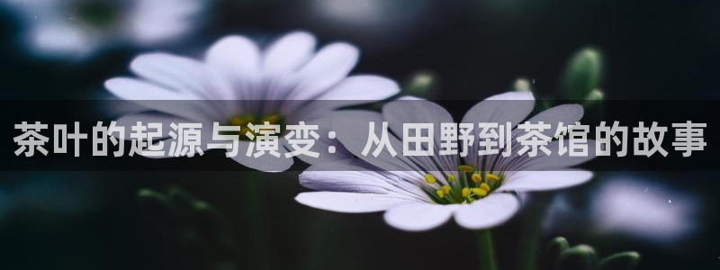 摩登7冠