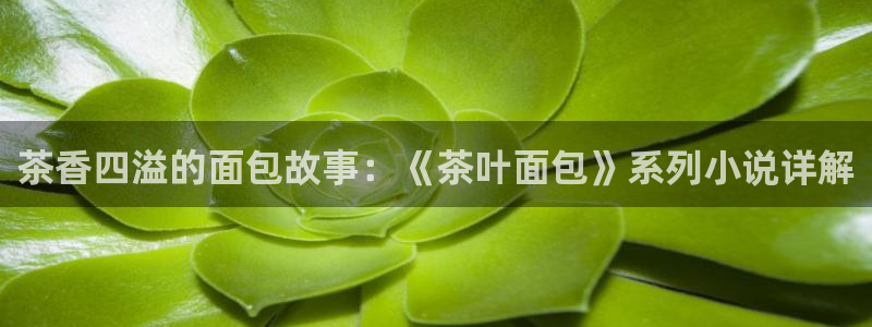 摩登7地3299O7