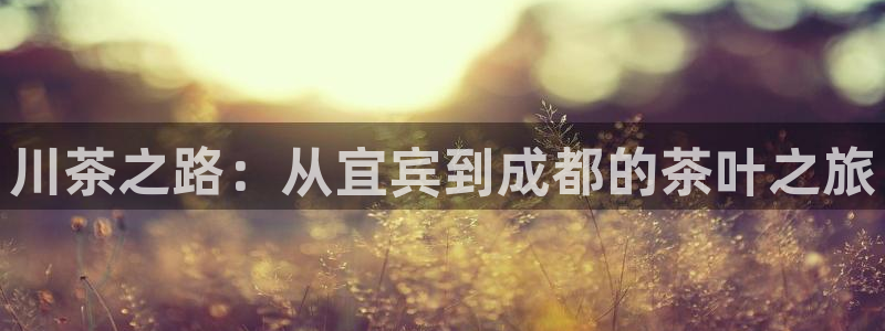 摩登7右