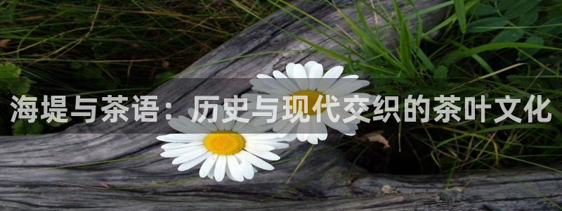 摩登7黑钱