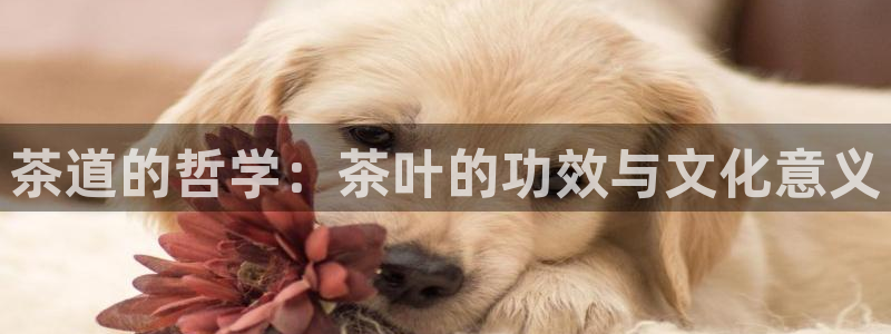 摩登5上7O667