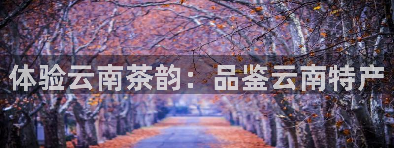 摩登7登录付333OO