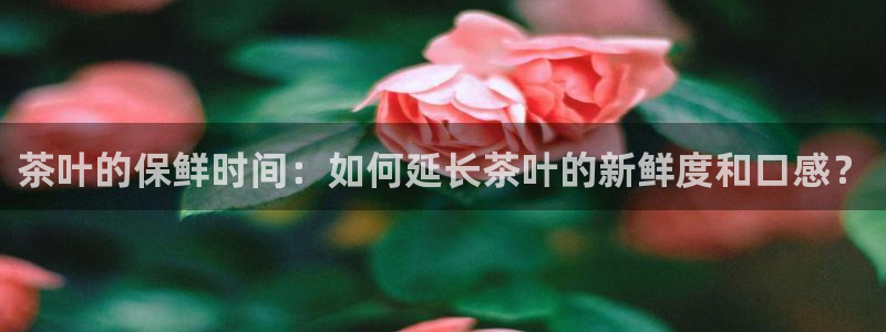 摩登7升
