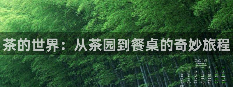 摩登5张7O667