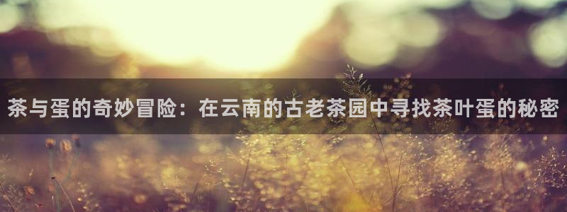 摩登7登录博333OO