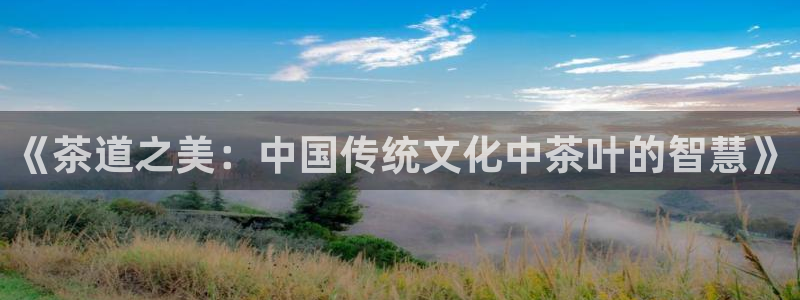 摩登4右7O667